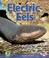 Cover of: Electric Eels (Early Bird Nature Books)