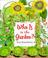 Cover of: Who Is in the Garden?