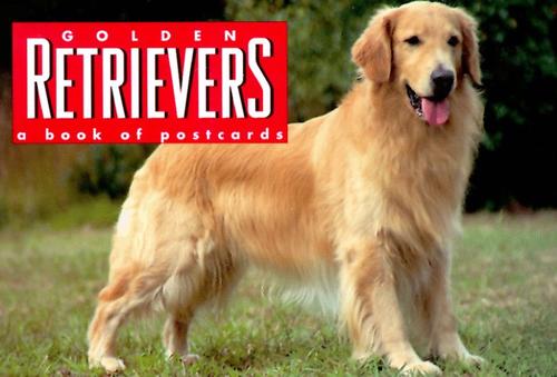 Golden Retrievers by Andrews McMeel Publishing