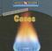 Cover of: Gases/ Gases (Estados De La Materia/States of Matter)