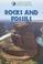 Cover of: Rocks and Fossils (Gareth Stevens Vital Science: Earth Science)