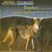 Cover of: Coyotes Are Night Animals / Los Coyotes Son Animales Nocturnos (Night Animals / Animales Nocturnos)