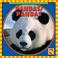 Cover of: Pandas/ Pandas (Animals I See at the Zoo/ Animales Que Veo En El Zoologico)