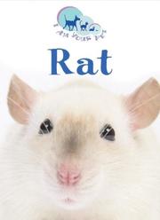 Cover of: Rat (I Am Your Pet) by Matthew Rayner