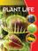 Cover of: Plant Life (Gareth Stevens Vital Science: Life Science)