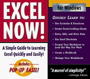 Cover of: Excel Now! for Windows: A Simple Guide to Learning Excel Quickly and Easily!: Includes Pop-Up Easel! (Now! Series)