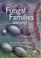 Cover of: Fungal Families of the World (Cabi Publishing)