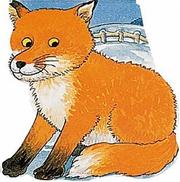 Cover of: Pocket Fox