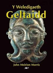 Cover of: Y Weledigaeth Geltaidd