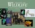 Cover of: Images of Wildlife