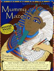 Cover of: MummyMaze: Tomb Treasures Maze Book