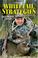 Cover of: Whitetail Strategies