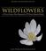 Cover of: Wildflowers of Nova Scotia, New Brunswick & Prince Edward Island