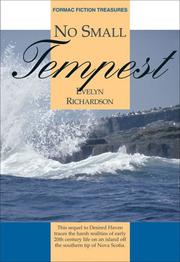 Cover of: No Small Tempest