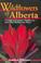 Cover of: Wildflowers of Alberta