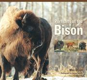 Portraits of the Bison by Wes  Olson