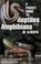 Cover of: A Pocket Guide to Reptiles and Amphibians of Alberta