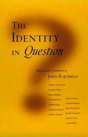 Cover of: The identity in question by edited by John Rajchman.