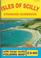 Cover of: The Isles of Scilly Standard Guidebook