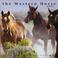 Cover of: The Western Horse Calendar 2002