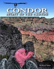 Condor by Robert Mesta