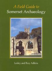 Cover of: A Field Guide to Somerset Archaeology by Lesley Adkins, Roy A. Adkins