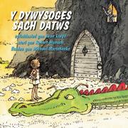 Cover of: Y Dywysoges Sach Datws