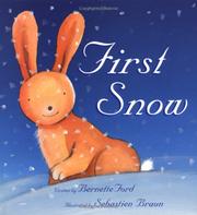 Cover of: First Snow by Sebastien Braun         