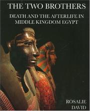 Cover of: The Two Brothers: Death and the Afterlife in Middle Kingdom Egypt