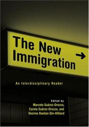 Cover of: The New Immigration | Desiree Baolian Qin