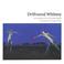 Cover of: Driftwood Whimsy