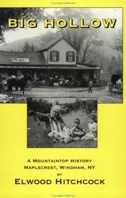 Cover of: Big Hollow: A Mountaintop History