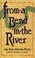 Cover of: From A Bend in the River