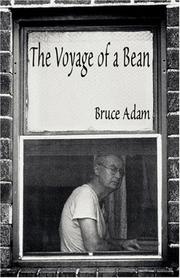 The Voyage of a Bean by Bruce Adam