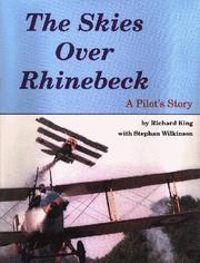 Cover of: The Skies over Rhinebeck: A Pilot's Story