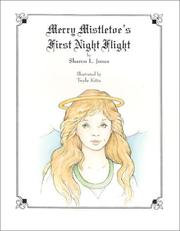 Cover of: Merry Mistletoe's First Night Flight