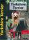 Cover of: Yorkshire Terrier