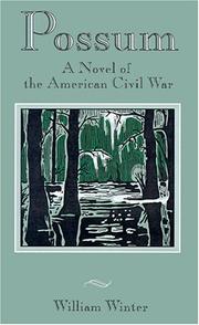 Cover of: Possum: A Novel of the American Civil War