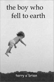 Cover of: The Boy Who Fell To Earth: A Modern Pilgrim's Progress