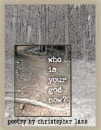 Cover of: Who Is Your God Now? by Christopher Lane