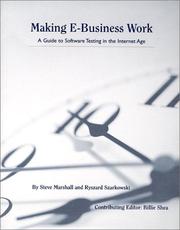 Cover of: Making E-Business Work : A Guide to Software Testing in the Internet Age