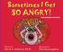 Cover of: Sometimes I Get So Angry!  Anger Management for Everyone
