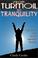 Cover of: From Turmoil to Tranquility