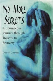 Cover of: No More Secrets: A Courageous Journey through Tragedy to Recovery