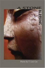 Front cover of A Stone Blessing by Luis T. Cox