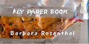 Cover of: Fly Paper Book by Barbara Rosenthal