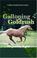 Cover of: Galloping Goldrush