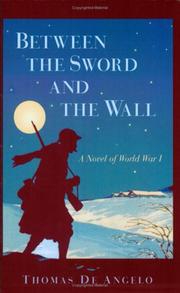 Cover of: Between the Sword and the Wall: a novel of World War I
