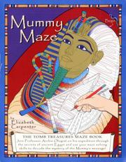 Cover of: Mummy Maze - The Tomb Treasures Maze Book