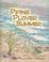 Cover of: Piping Plover Summer